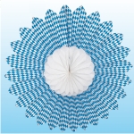 Decorating Fan 2-color