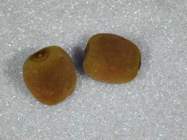 Kiwi, Groß, 2-teilig