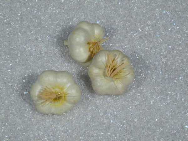 Knoblauch, 3-teilig