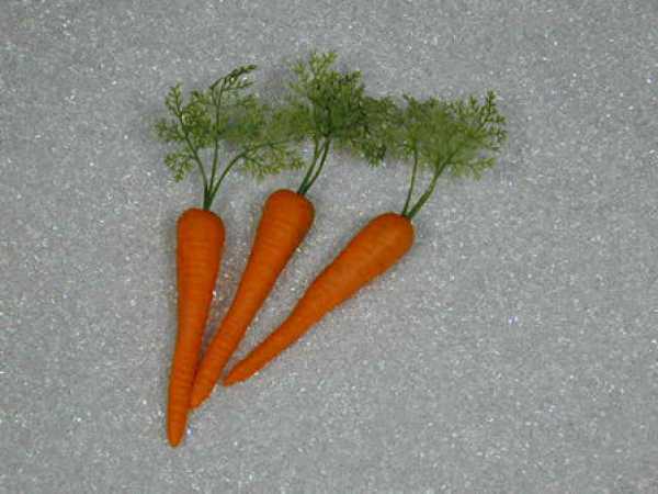 carrots with leaves, 3 parts