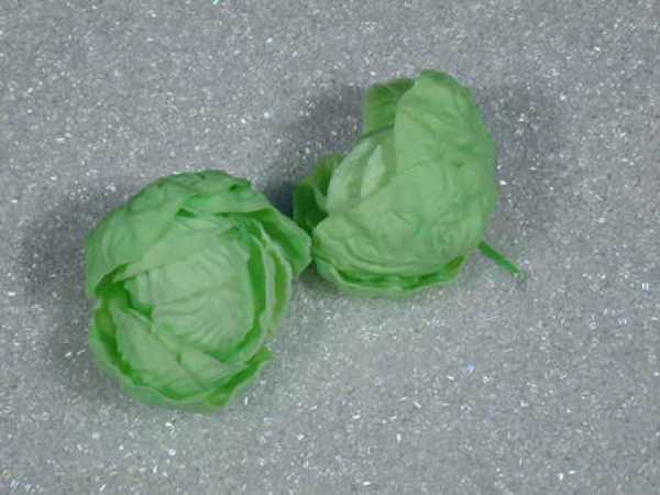 Kopfsalat, 2-teilig