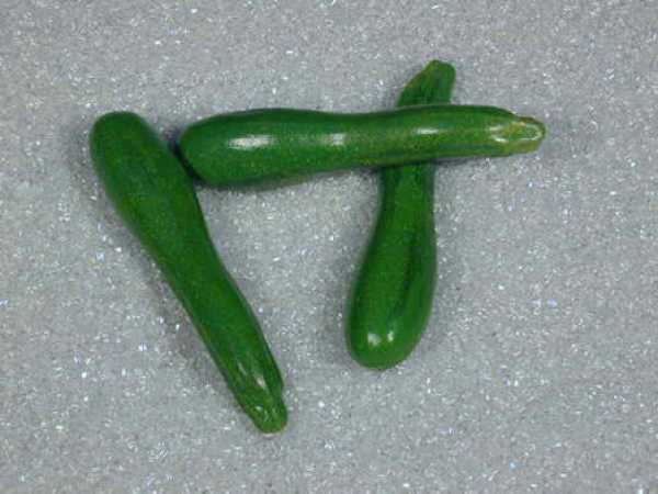 Zucchini, 3-teilig
