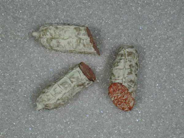 Salami-Hälften, 3-teilig