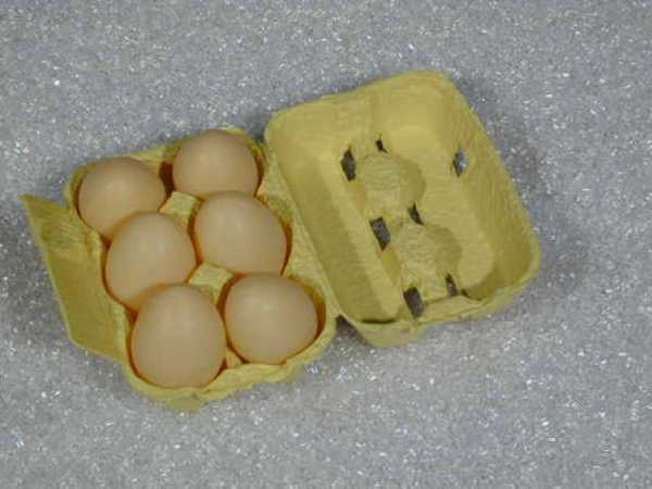 Box mit 6 braunen Eiern