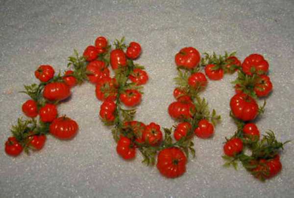 Tomatengirlande mit 36 Tomaten