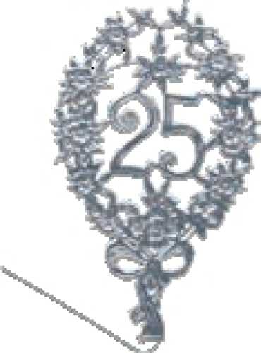 Jubiläumszahl "25" silber 8x 12 cm