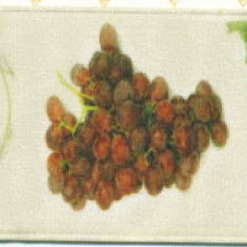 Raisin