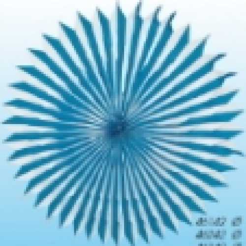 Riesenchrysantheme blue and white, 120cm Ø