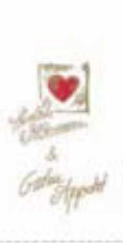 Pocket Napkins, Napkin Bags "Welcome"