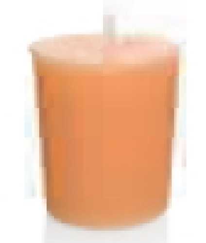 Duftkerzen "Bratapfel", 24-er Pack