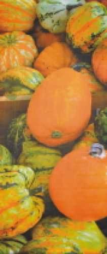 Dekobanner "Pumpkin", 75 x 180 cm