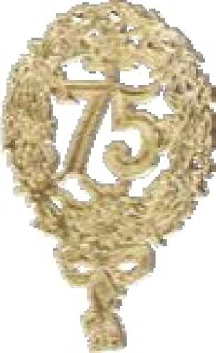 Jubilee figures with pin "75" gold, 8 x 12 cm