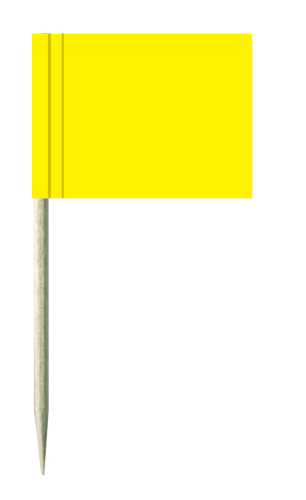 8050006