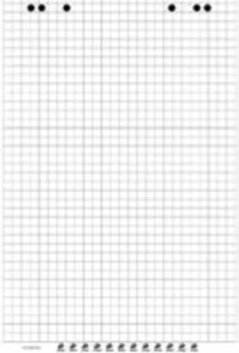 5 x Flipchartblock, kariert / blanko, 67 x 99 cm, 20Bl, 80g, gerollt