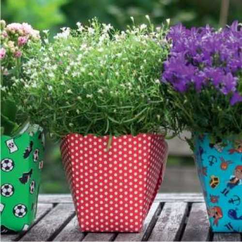 Plant box, 620 ml, 6 x 6 x 10 cm, 12 pieces