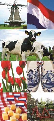 Banner "Holland", 75 x 180 cm