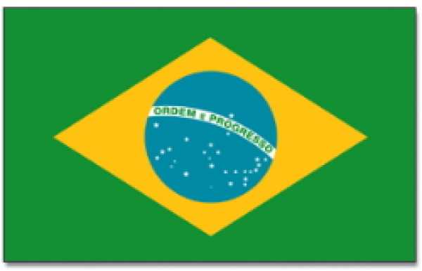 Stick flags Brazil