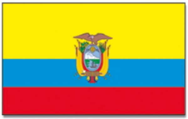 Stockflagge Ecuador