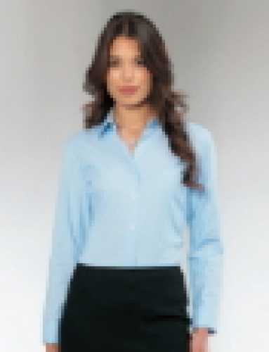 Ladies blouse
