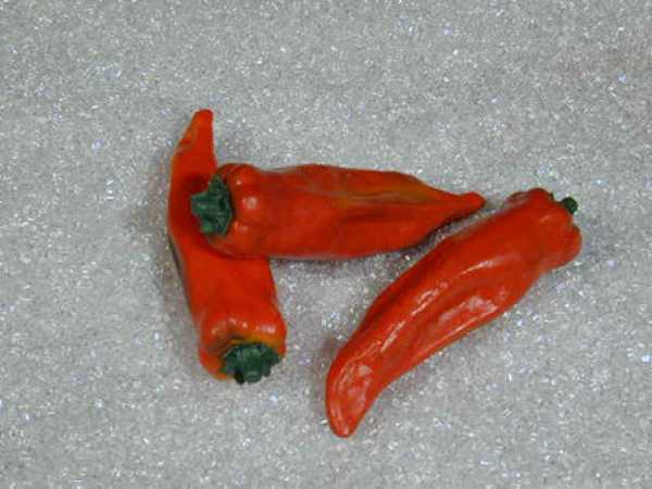 Peperoni, Rot, 3-teilig
