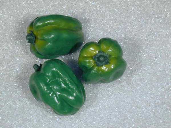 Paprika, Grün, 3-teilig
