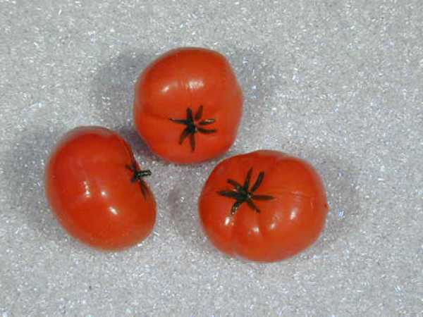 Tomate, 3-teilig