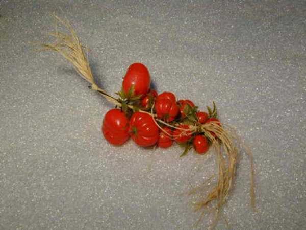 Tomatentraube