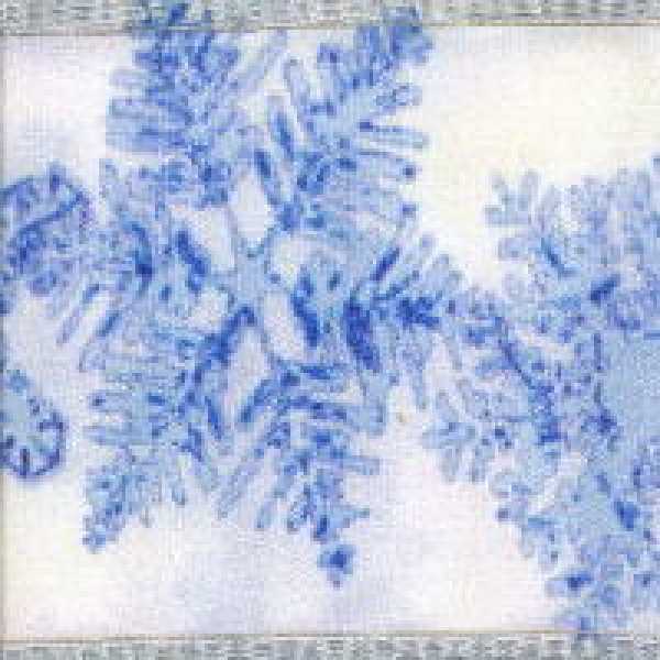 Iceflakes