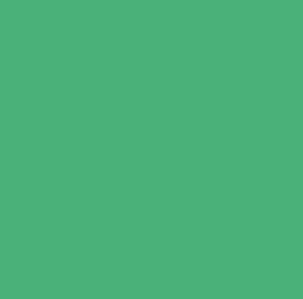 Atlaskordel gedreht, 2 mm breit, 50 m, grün