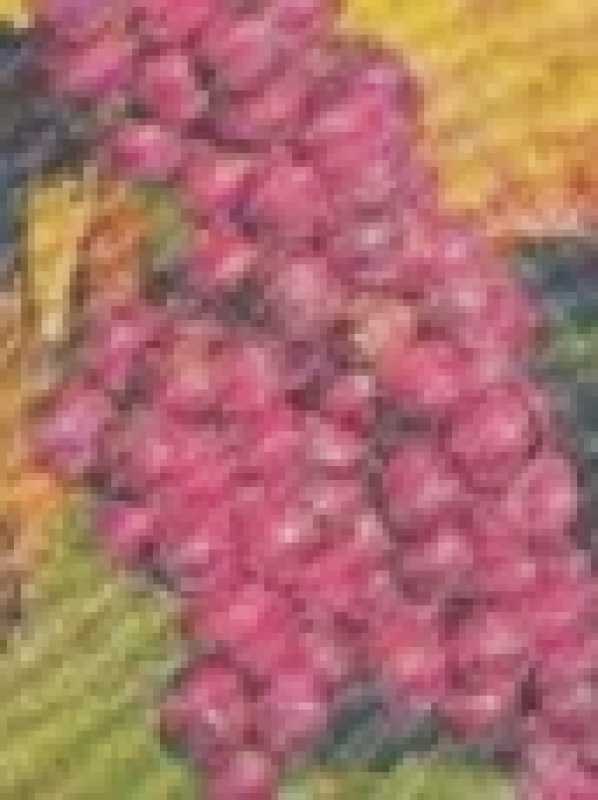 Stoff Weinlaub rot