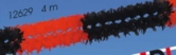 Buschgirlande schwarz/rot, 16 x 16 cm, 4 m