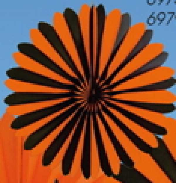 Dekofächer schwarz/orange, Ø 100 cm
