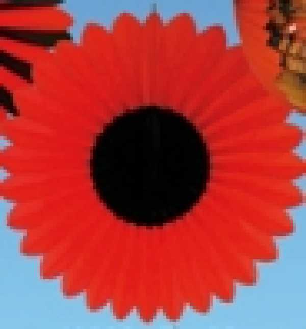Dekofächer rot/schwarz  Ø 75 cm