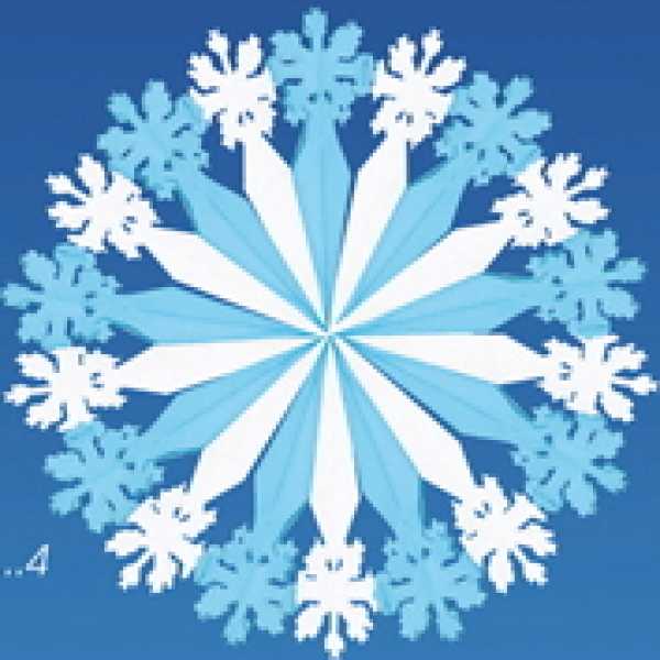 Snow star rose, Ø 60 cm