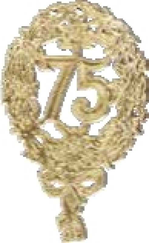 Jubilee figures with pin "75" gold, 8 x 12 cm