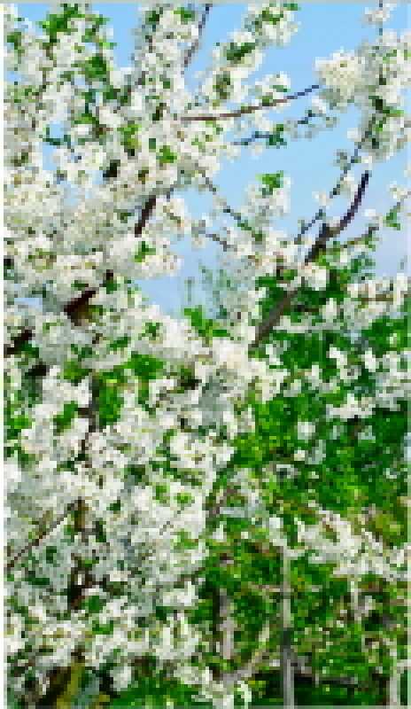 Textile poster "April", 80 x 140 cm