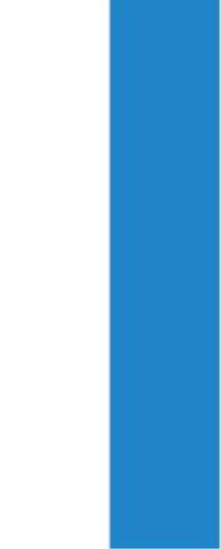Banner-Fahne 0,80 x 2,00 m, weiss/blau