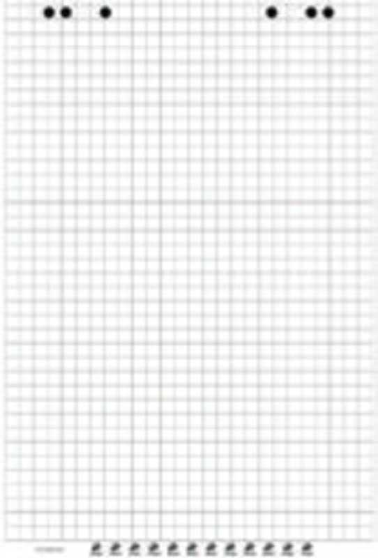5 x Flipchartblock, kariert / blanko, 67 x 99 cm, 20Bl, 80g, gerollt