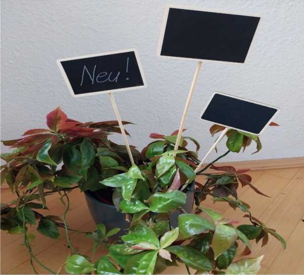 10 x wooden plant markers