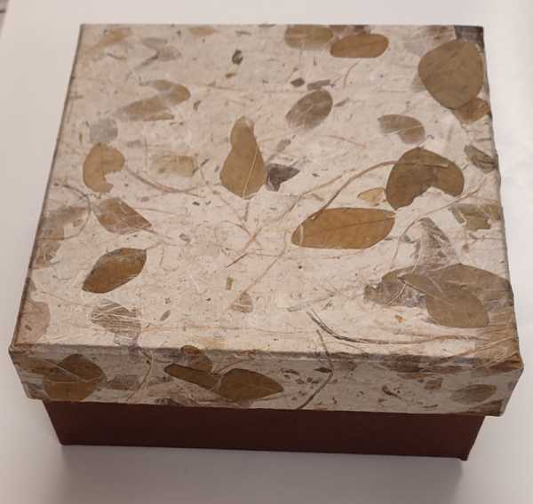 Pulsar Gift Box Set of 5