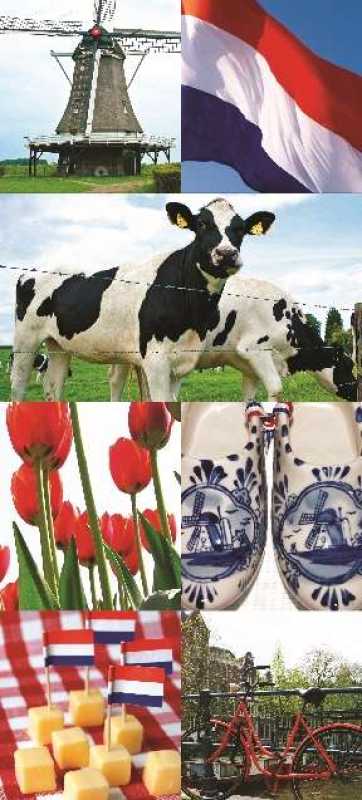 Banner "Holland", 75 x 180 cm