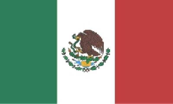 mini flags mexico