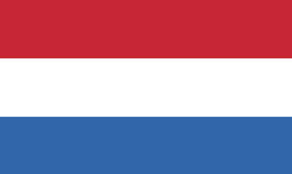 Fahnenpicker Niederlande, 50 Stück