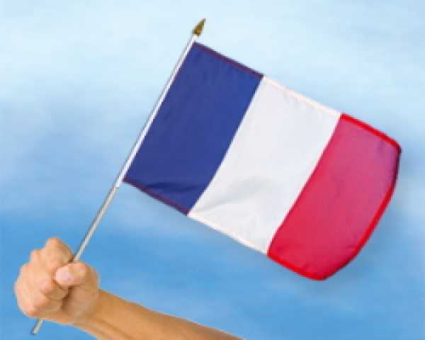 Stockflagge France