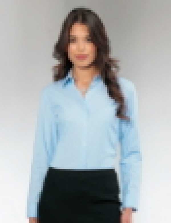 Ladies blouse