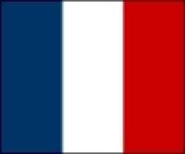 Hissflagge Frankreich 0,80 x 2,00 m