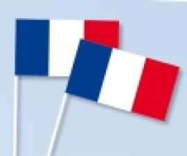 Papierfahnen Frankreich, 40 cm Stab