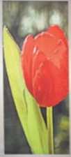 Dekobanner "Tulpe", 75 x 180 cm
