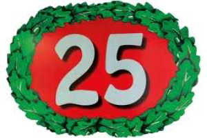 Grußschild "25" , Hartpappe 40 x 29 cm