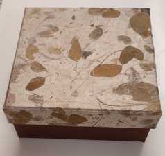 Pulsar Geschenkboxen-Set 5-er